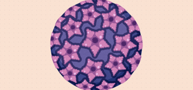 HPV e câncer de colo do útero: qual é a relação? Março Lilás no ICS oferece prevenção à doença